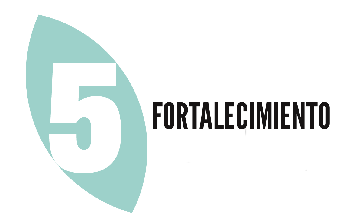 5. Cosecha - Sistematización