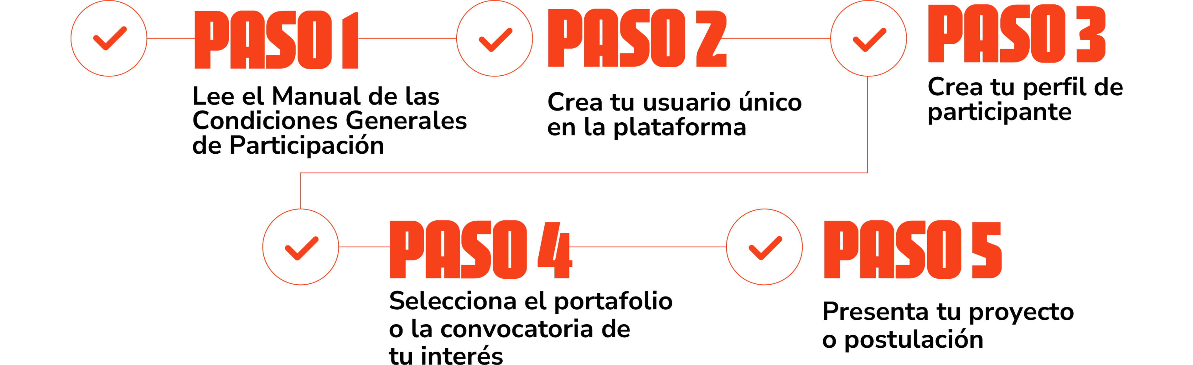 Paso a paso del proceso